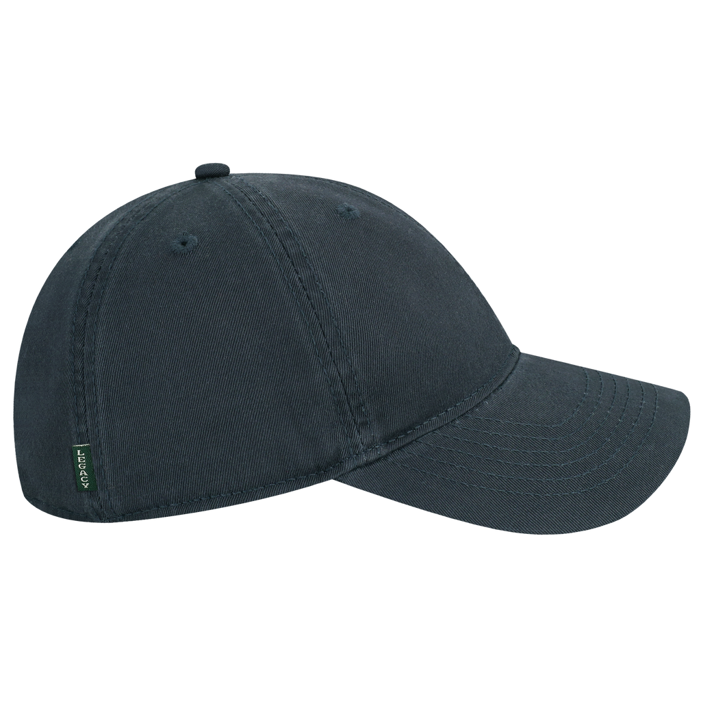 Desert Cactus University Of Michigan Baseball Hat - Embroidered Wolverines Cap, Adjustable Strap (Black, One Size)