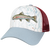 5PTKR-C220 RAINBOW TROUT KATIE REIM-ADJ
