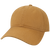 EZA-Camel-ADJ