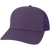 MPS-Purple Trucker-ADJ