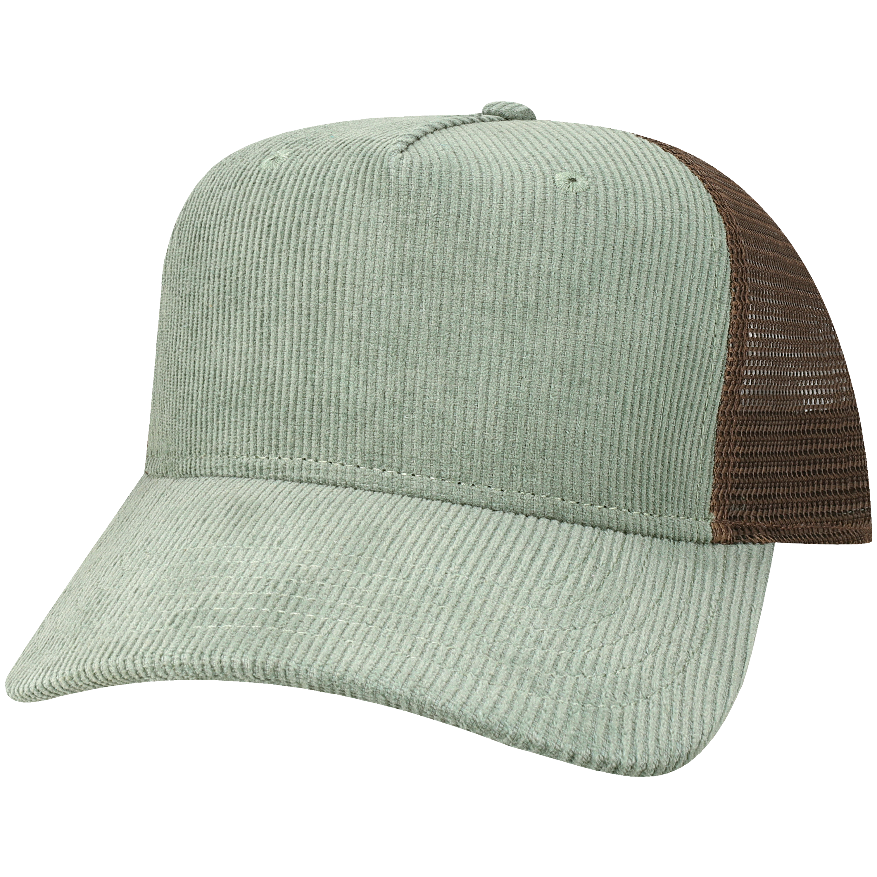 BOLT HEART - VINTAGE CORDUROY MESH TRUCKER HAT - Aviator Nation